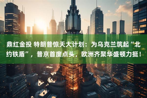 鼎红金投 特朗普惊天大计划：为乌克兰筑起“北约铁盾”，普京首度点头，欧洲齐聚华盛顿力挺！