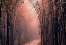 配资方式:股票散户开户选哪个券商好-商务部回应！事关半导体 中方敦促美方立即纠正错误做法